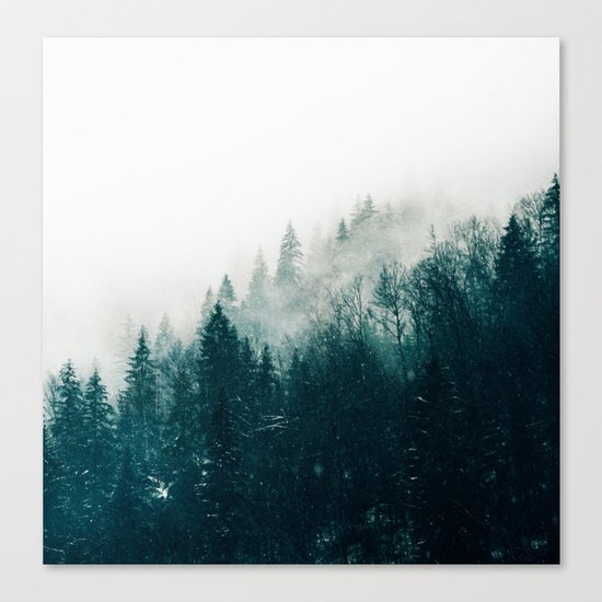The Silent Forest #society6 #decor #buyart Canvas Print