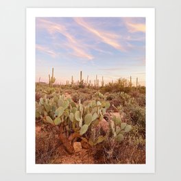 Saguaro 2 Art Print