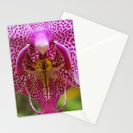 Orchid 3 Stationery Card