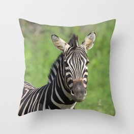 Senegal Wildlife Zebra #zebra #wildlife #animal  Throw Pillow