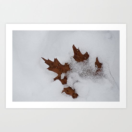 Frozen in Time Art Print