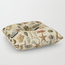 Mollusques by Adolphe Millot Floor Pillow