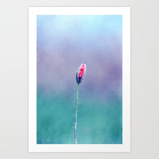 little poppy Art Print