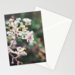 Rubus Stationery Cards