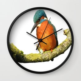 Stunning Kingfisher Vector Wall Clock | Animal, Kingfisher, Orange, Colourful, Brightplumage, Perched, Plumage, Lalcyon, Halcyonbird, Coraciforms 