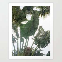 Palms in the Courtyard Art Print | Green, Plams, White, Painting, Watercolor, Tropical, Digital 