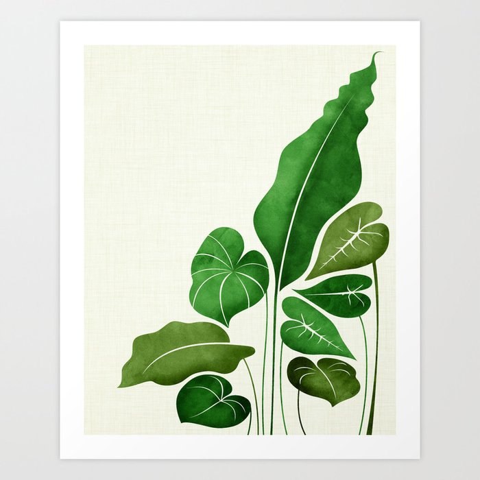 Cacophony Plant Illustration Kunstdrucke