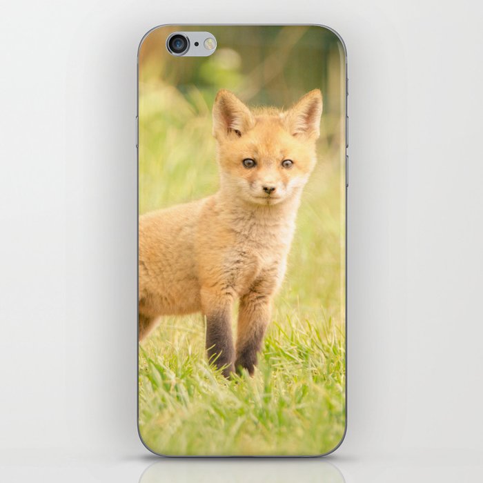 Baby Red Fox in the Sun Animal / Wildlife Photograph on Merch