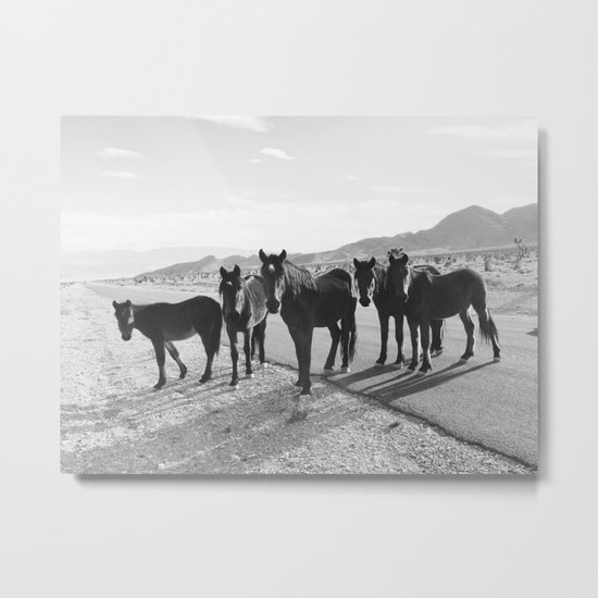 Cold Creek Horse Crew Metal Print