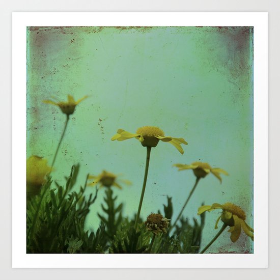Fragile Flowers Art Print