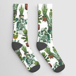 House Plants Collection Socks