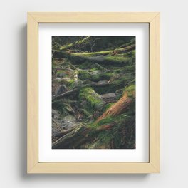 A Road Less Traveled  Recessed Framed Print