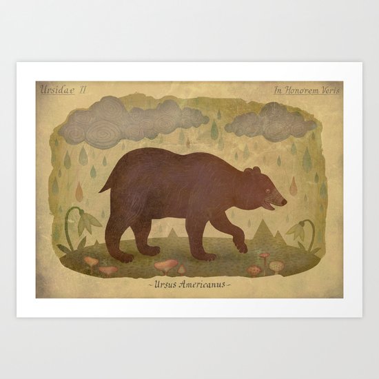 American black bear Art Print