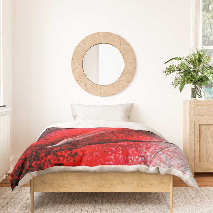 Spotlight doona clearance covers