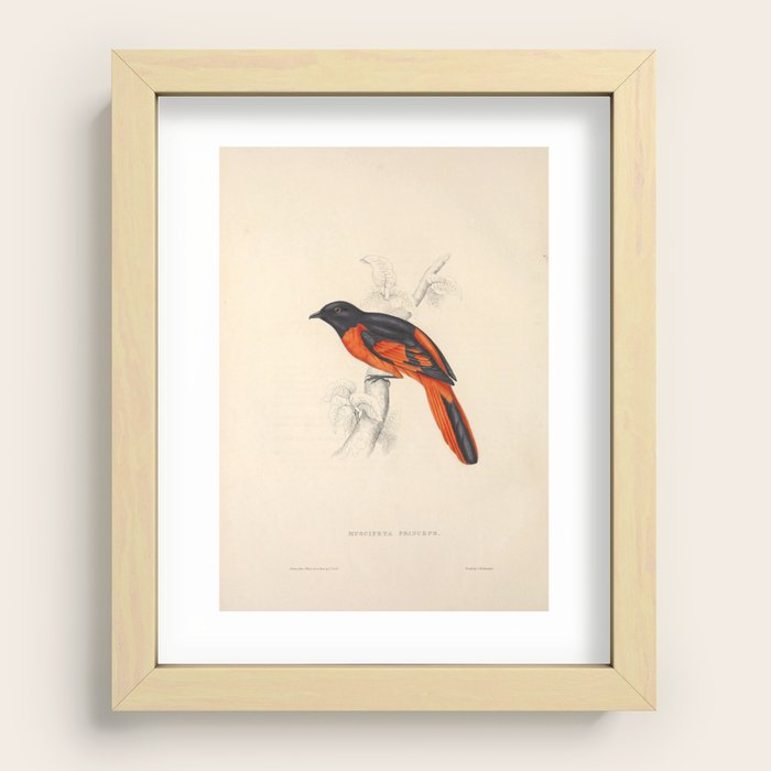 Recessed Framed Print