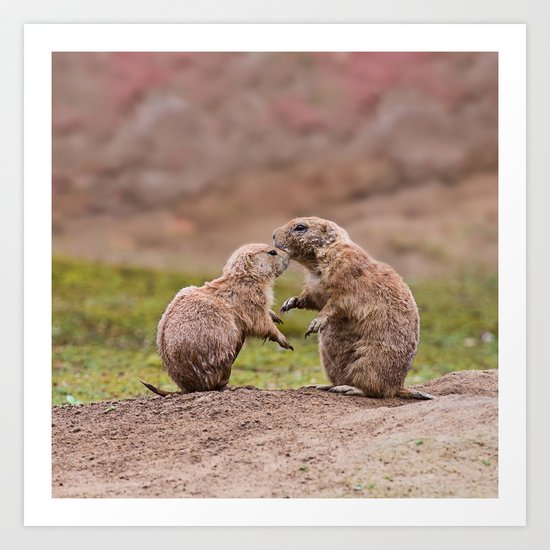 Cute little prairie dogs love Art Print