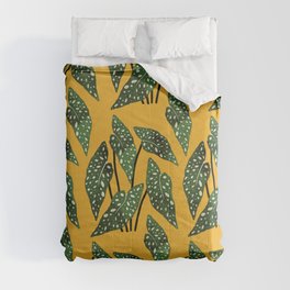 Begonia maculata pot watercolor Comforter