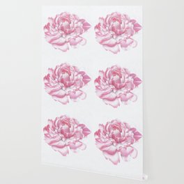 Blossoming Bloom Wallpaper