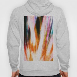 Color abstract art Hoody