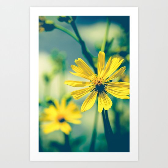 Yellow Sunshine Art Print