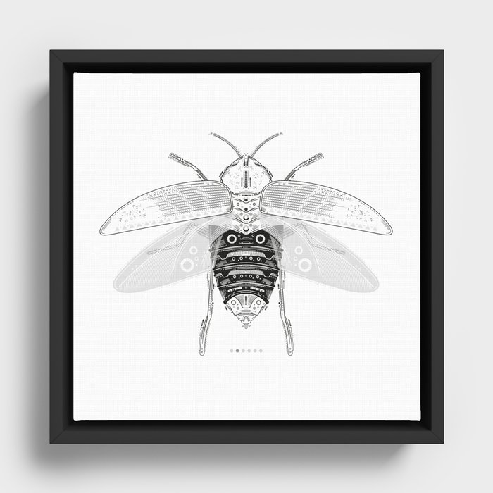 entomology 03. (ii) Framed Canvas