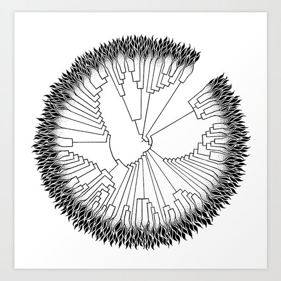 Cladogram Art Print