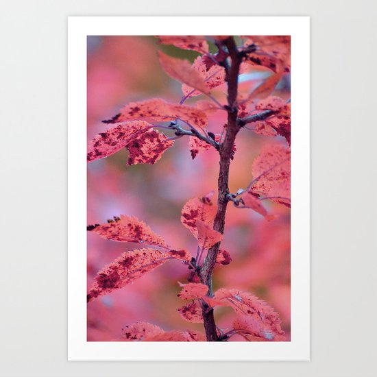 #17 Art Print
