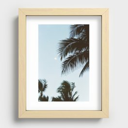 Moonlit Palms Recessed Framed Print