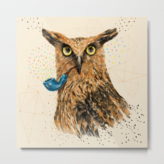 Mr.Owl V Metal Print