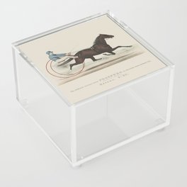 Historic Horse Illustration  Acrylic Box