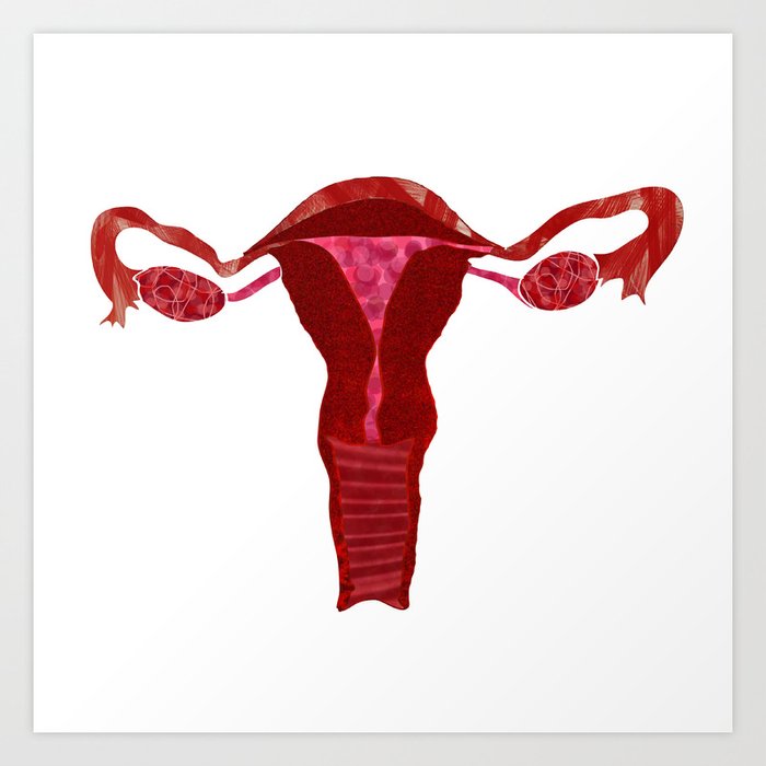 Uterus/Life/Woman Art Print