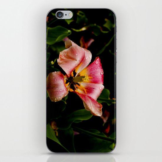 Morning Dew iPhone Skin