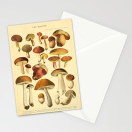 Mushrooms Les bolets colllection Vintage Chart  Stationery Card