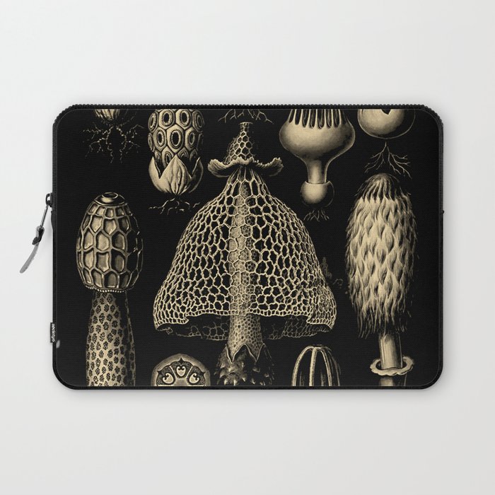 “Basidiomycopa” from “Art Forms of Nature” by Ernst Haeckel Laptop Sleeve