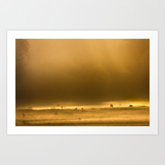 Autumn Dawn Art Print