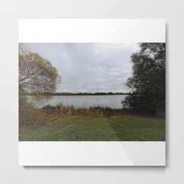 View Of A Lake In Autumn Metal Print