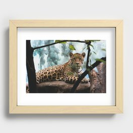 Perched Cat  Recessed Framed Print