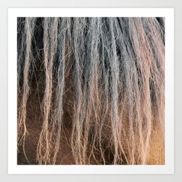 Horse's mane close-up Art Print