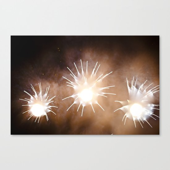 Efflorescence 14 Canvas Print