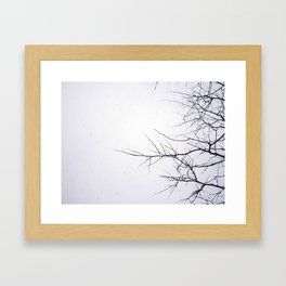 Branch Out Framed Art Print
