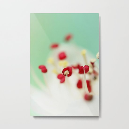 Candy Blossom Red Metal Print