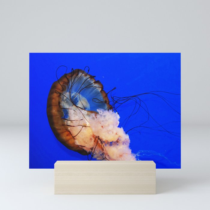 Underwater Life Mini Art Print