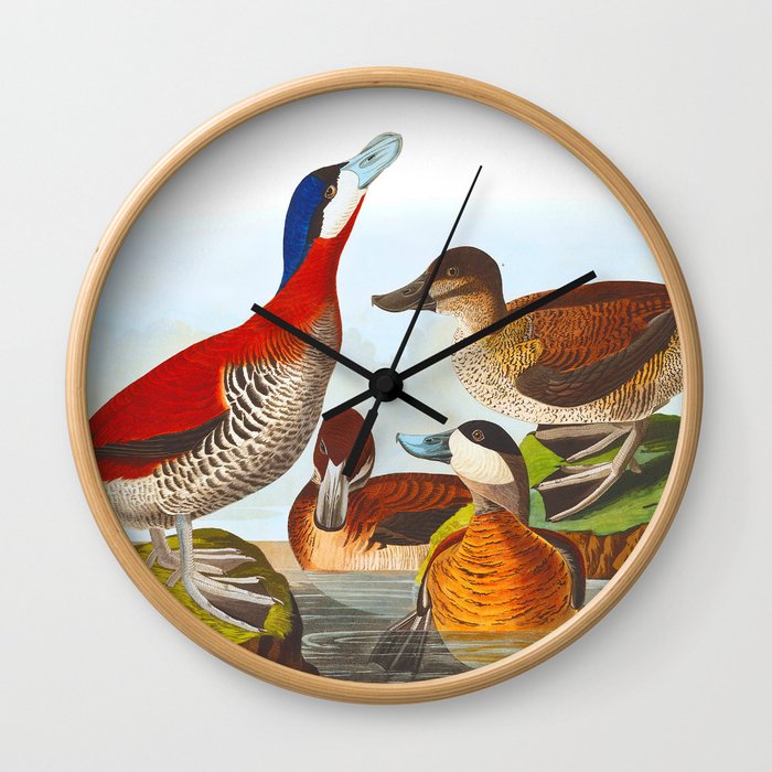 Ruddy Duck Wall Clock