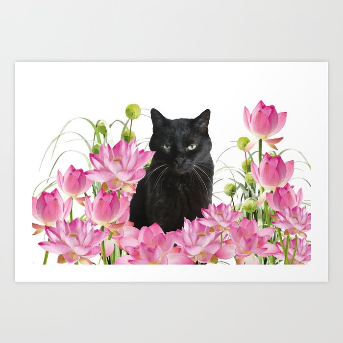 Snoki - Black Cat Lotos Flower Blossoms #black cat Art Print