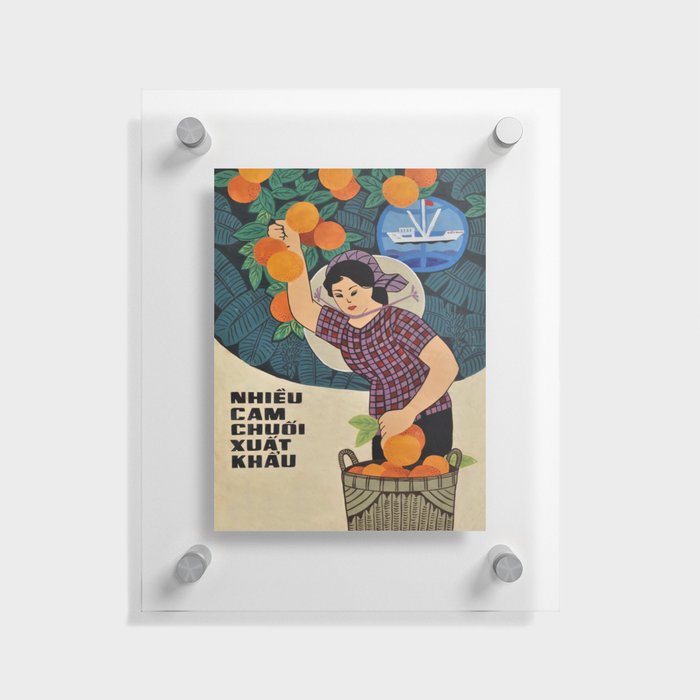 Vietnamese Poster - Harvesting Oranges  Floating Acrylic Print