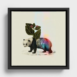 Auricular panda Framed Canvas