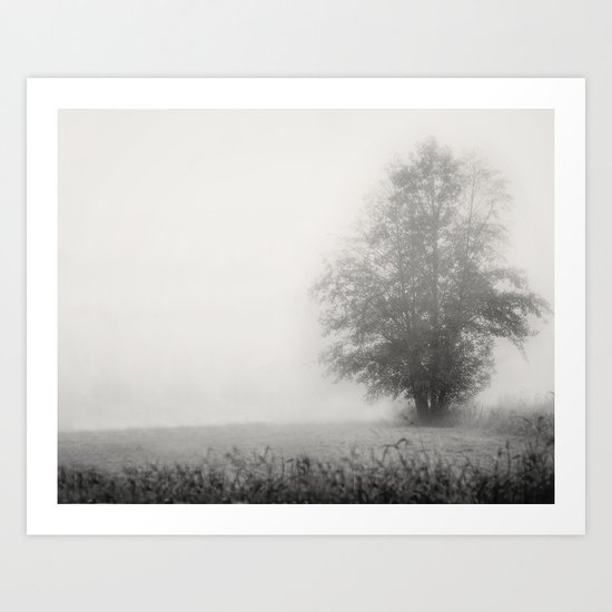Foggy Morning Art Print