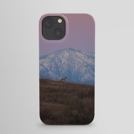 Coyote Mountain iPhone Case