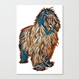newfoundland dog in front of white background        - Image Canvas Print