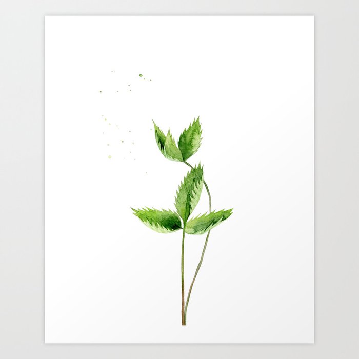 Discover the motif STRAWBERRY LEAVES. by Art by ASolo as a print at TOPPOSTER